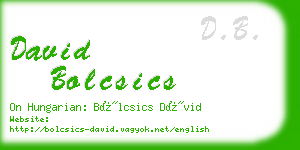 david bolcsics business card